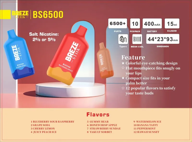 Breze Stiik BS6500 Breze Stiik BS6500