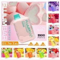 Fluum Bar5500 Vapers Smoke