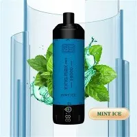 BS KING MAX PRO 18000 پف